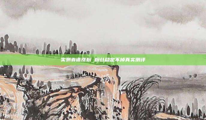 实测靠谱涨粉 粉丝稳定不掉真实测评