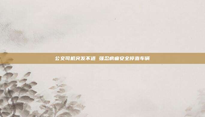 公交司机突发不适 强忍病痛安全停靠车辆