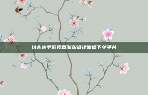 抖音快手低预算涨粉省钱靠谱下单平台