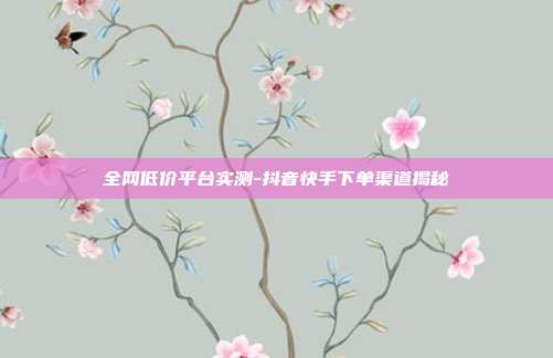 全网低价平台实测-抖音快手下单渠道揭秘