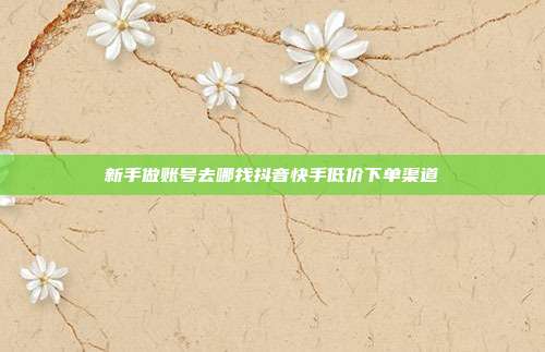 新手做账号去哪找抖音快手低价下单渠道