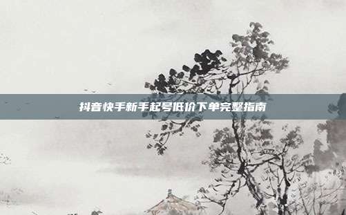抖音快手新手起号低价下单完整指南