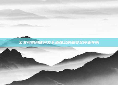 公交司机身体突发不适强忍病痛安全停靠车辆