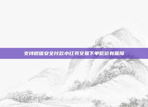 支持微信安全付款小红书交易下单低价有保障