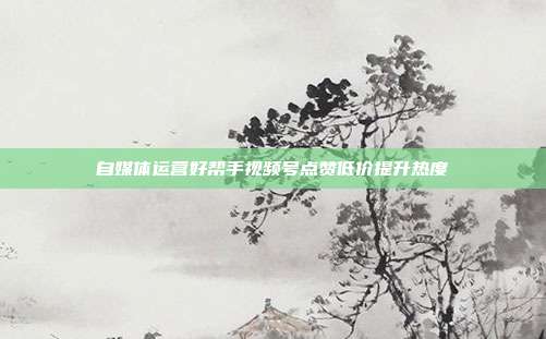 自媒体运营好帮手视频号点赞低价提升热度