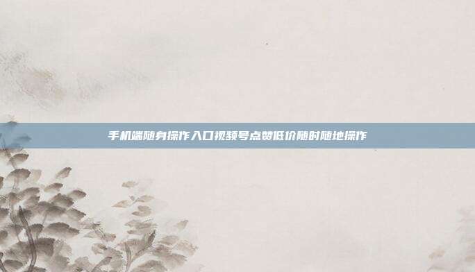 手机端随身操作入口视频号点赞低价随时随地操作