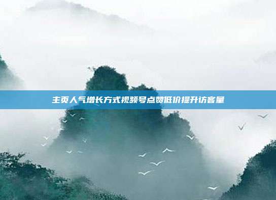 主页人气增长方式视频号点赞低价提升访客量