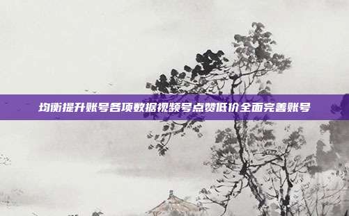 均衡提升账号各项数据视频号点赞低价全面完善账号