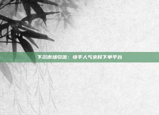 下沉市场引流：快手人气亲民下单平台