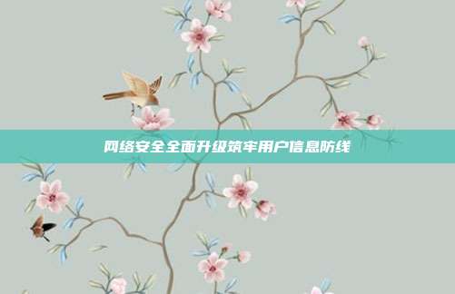 网络安全全面升级筑牢用户信息防线