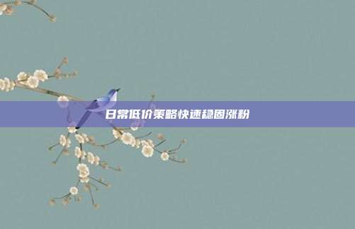 日常低价策略快速稳固涨粉