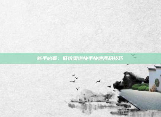 新手必看：低价渠道快手快速涨粉技巧