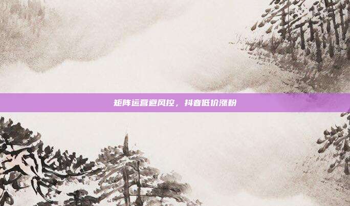 矩阵运营避风控，抖音低价涨粉
