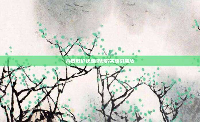 抖音低价快速涨粉的实惠引流法