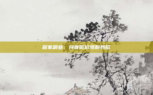 居家副业：抖音低价涨粉妙招