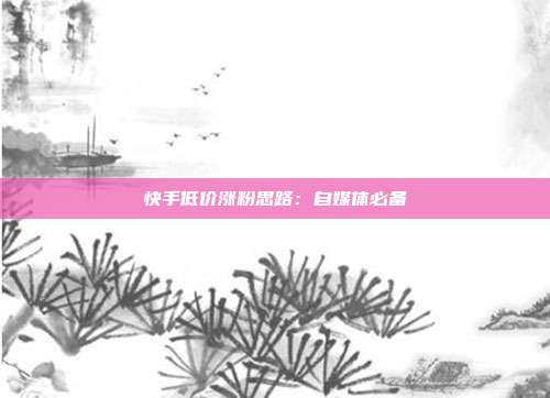快手低价涨粉思路：自媒体必备