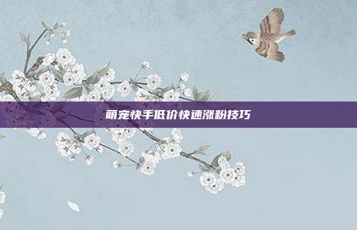 萌宠快手低价快速涨粉技巧