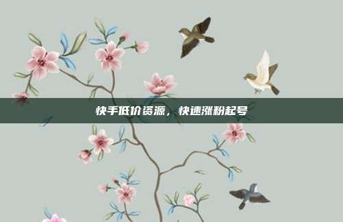 快手低价资源，快速涨粉起号