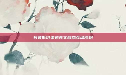 抖音低价渠道真实自然互动涨粉