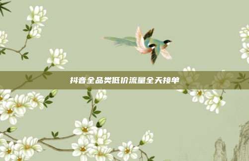 抖音全品类低价流量全天接单