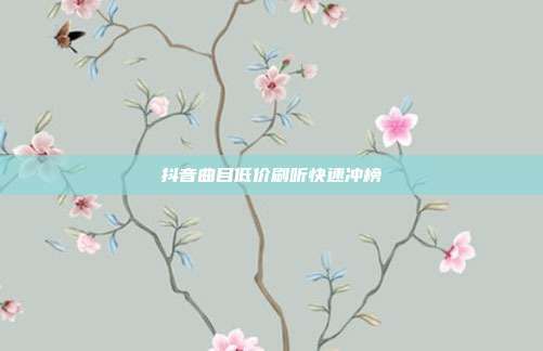 抖音曲目低价刷听快速冲榜