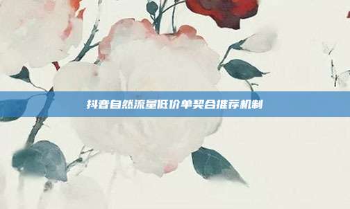 抖音自然流量低价单契合推荐机制