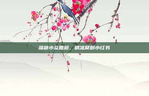 深耕小众圈层，精准聚粉小红书