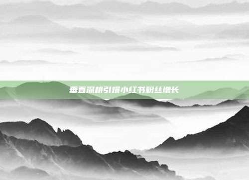 垂直深耕引爆小红书粉丝增长