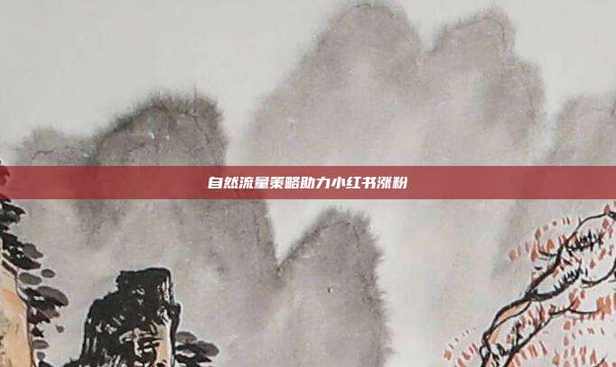 自然流量策略助力小红书涨粉