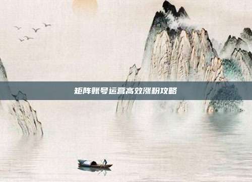 矩阵账号运营高效涨粉攻略
