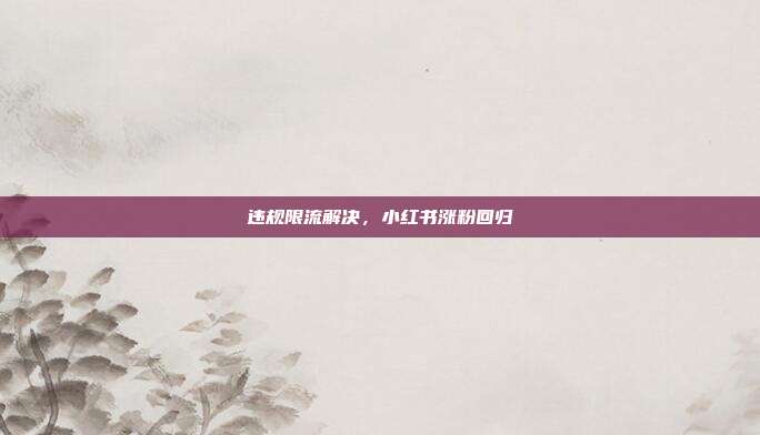 违规限流解决，小红书涨粉回归