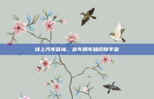 线上汽车咨询,选车用车知识随手查