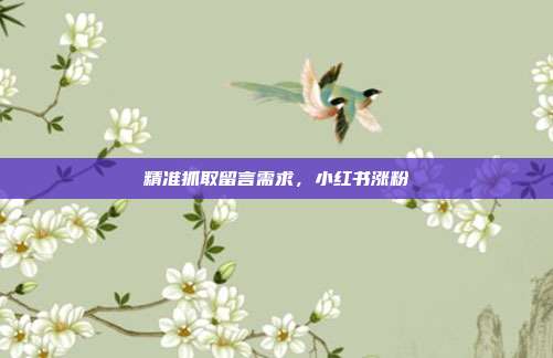 精准抓取留言需求，小红书涨粉