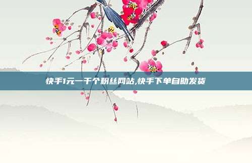快手1元一千个粉丝网站,快手下单自助发货