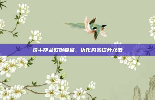 快手作品数据复盘,优化内容提升双击