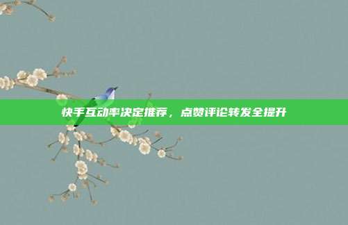 快手互动率决定推荐,点赞评论转发全提升