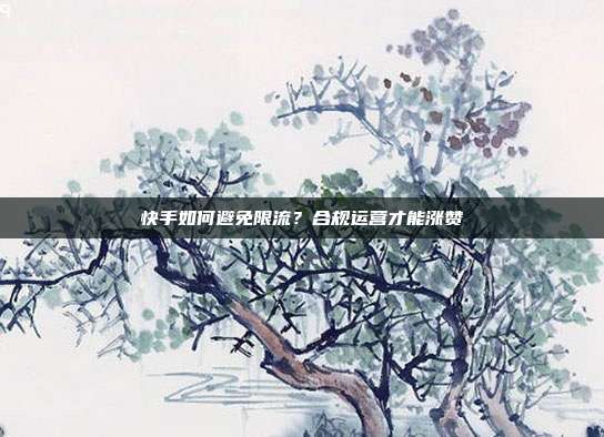 快手如何避免限流？合规运营才能涨赞