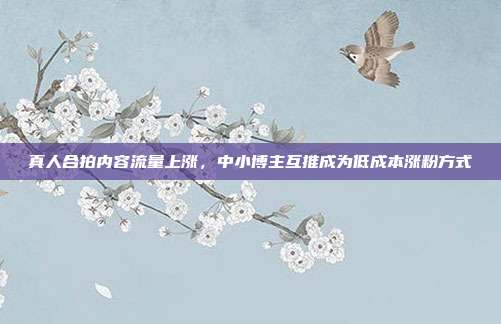 真人合拍内容流量上涨，中小博主互推成为低成本涨粉方式