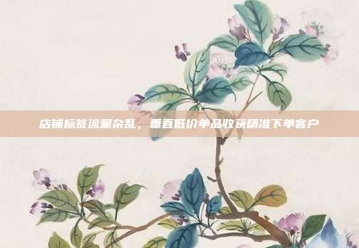 店铺标签流量杂乱，垂直低价单品收获精准下单客户