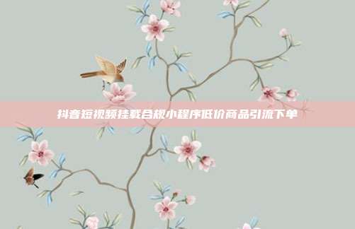 抖音短视频挂载合规小程序低价商品引流下单