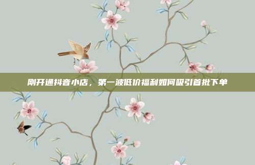 刚开通抖音小店,第一波低价福利如何吸引首批下单