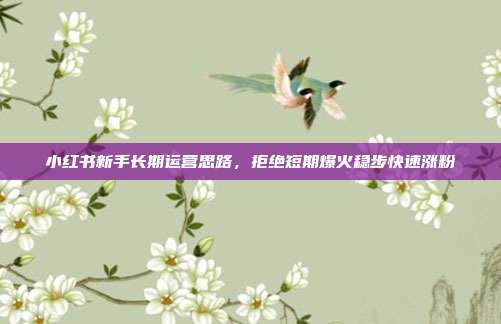 小红书新手长期运营思路，拒绝短期爆火稳步快速涨粉