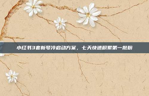 小红书3套新号冷启动方案,七天快速积累第一批粉