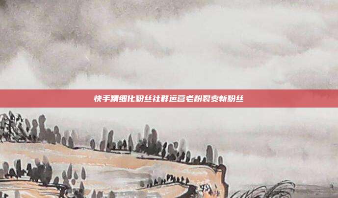 快手精细化粉丝社群运营老粉裂变新粉丝