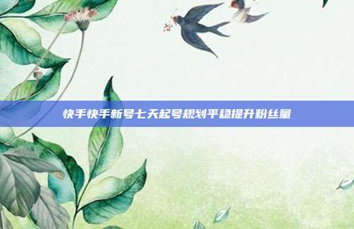 快手快手新号七天起号规划平稳提升粉丝量