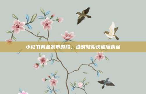 小红书黄金发布时段，选对轻松快速涨粉丝