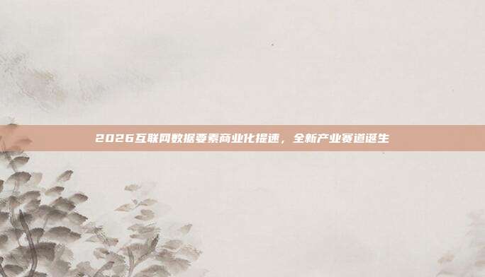 2026互联网数据要素商业化提速，全新产业赛道诞生