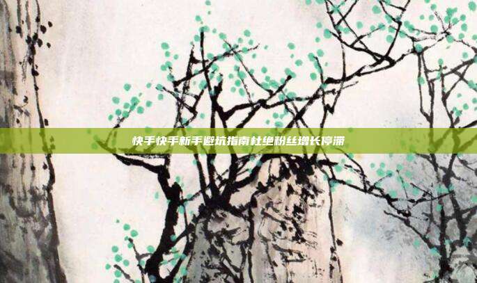 快手快手新手避坑指南杜绝粉丝增长停滞