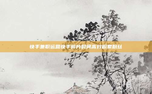 快手兼职运营快手碎片时间高效积累粉丝
