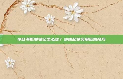 小红书低赞笔记怎么救？快速起赞实用运营技巧